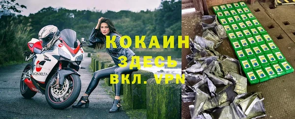 ПСИЛОЦИБИНОВЫЕ ГРИБЫ Арсеньев