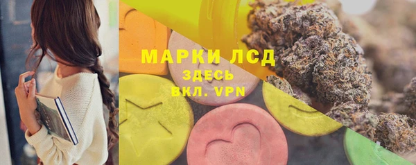 ПСИЛОЦИБИНОВЫЕ ГРИБЫ Арсеньев