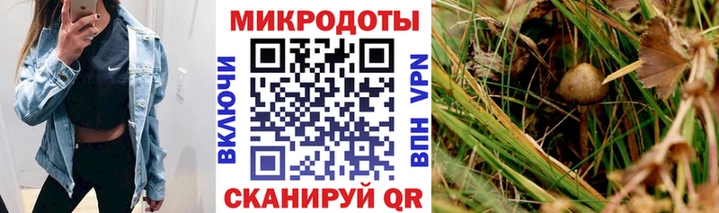 Галлюциногенные грибы мухоморы  Купить закладки  Полевской 
